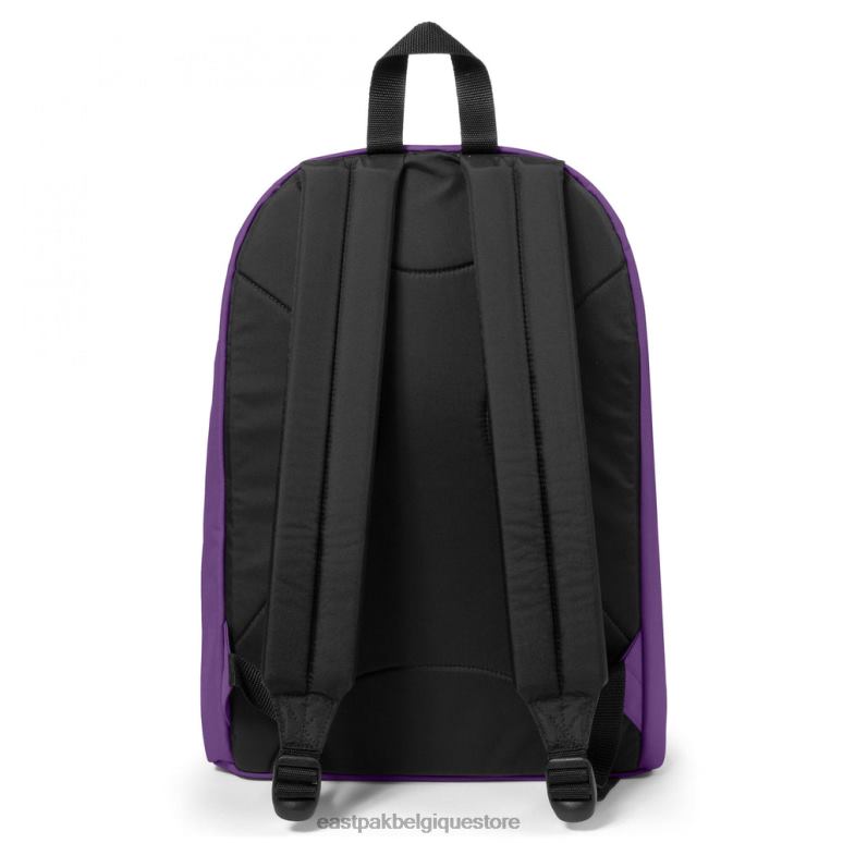 Eastpak absent du bureau violet pur sacs à dos N6H8X42