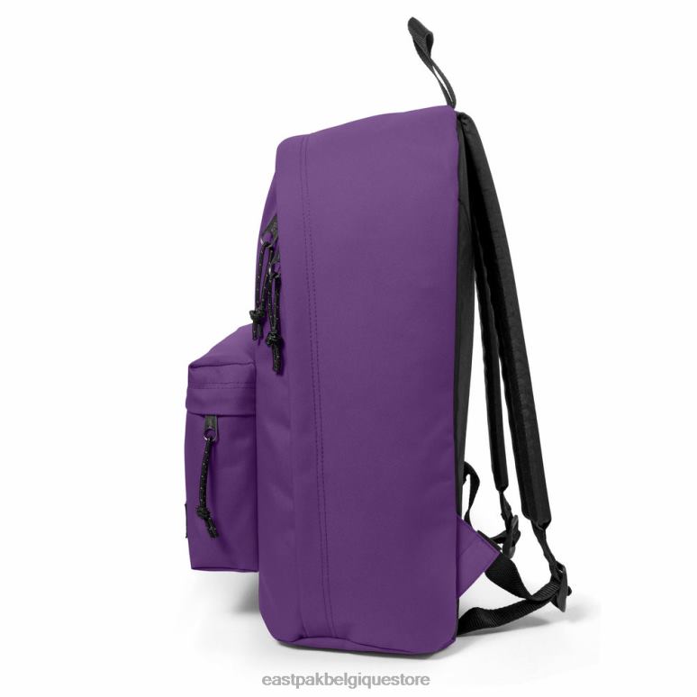 Eastpak absent du bureau violet pur sacs à dos N6H8X42