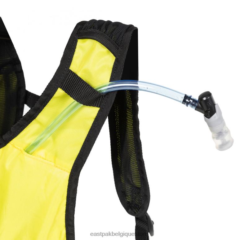 Eastpak gilet de genévrier temps de printemps sacs à dos N6H8X177